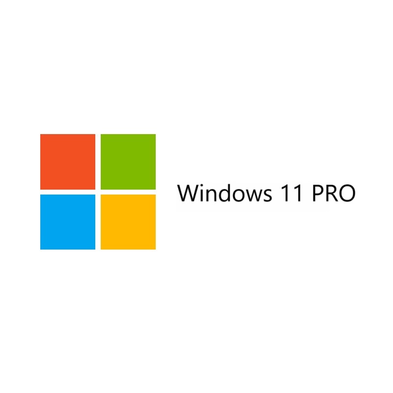 Windows 11 专业版